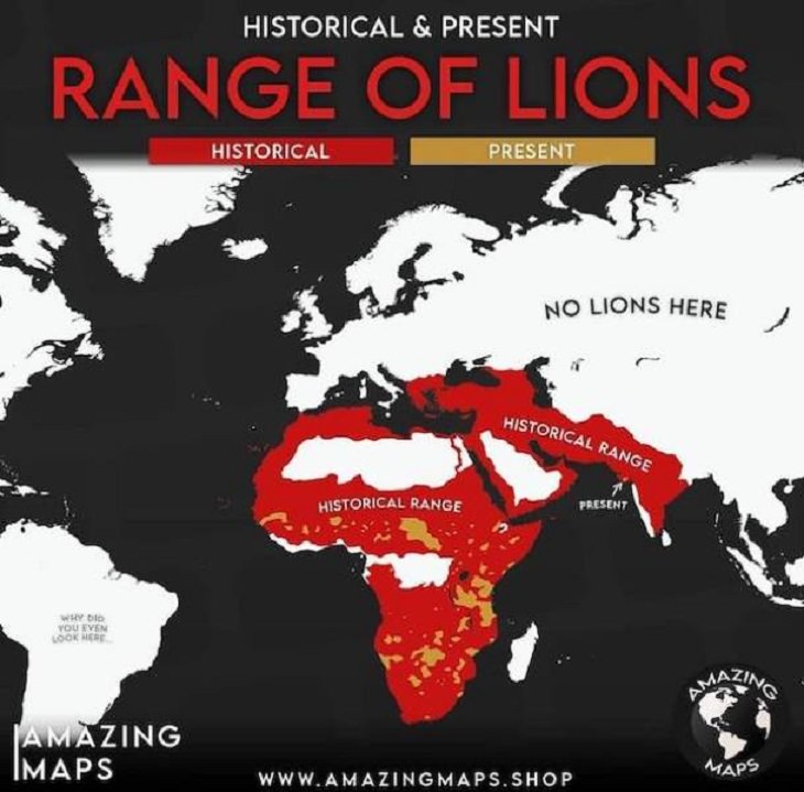 Useful charts, lions