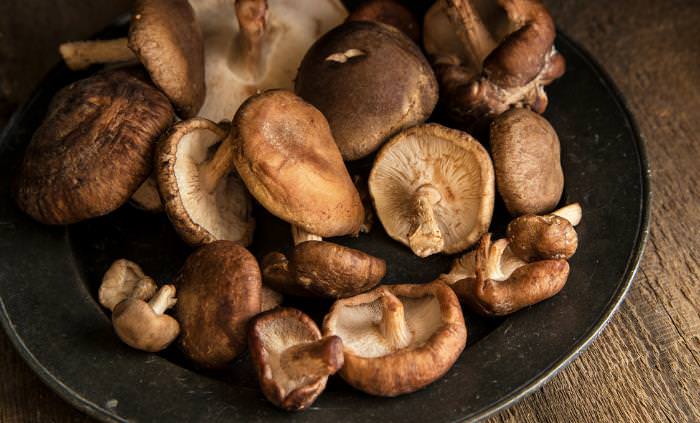 nighttime snack, Shiitake mushrooms