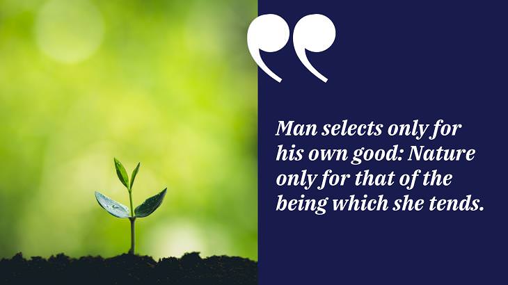 Quotes by Charles Darwin, nature