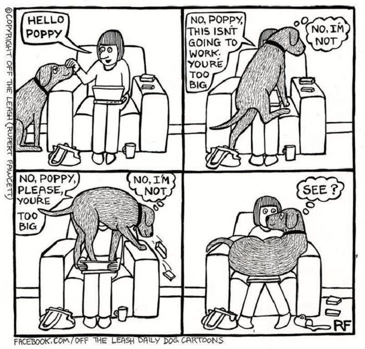 Dog Comics, cuddle
