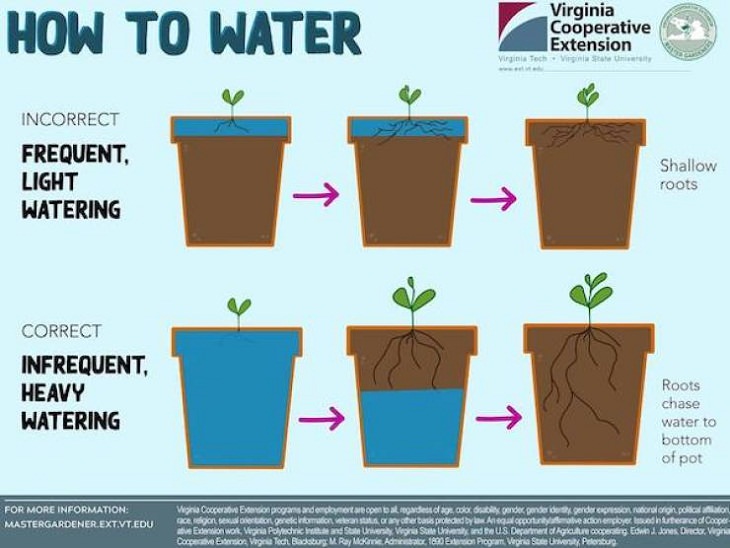 Useful charts, planting