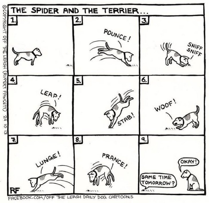 Dog Comics, spider