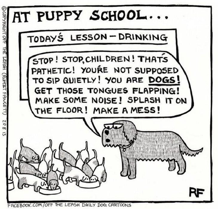 Dog Comics, school, puppy