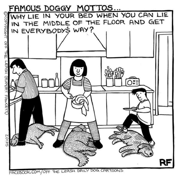 Dog Comics, floor