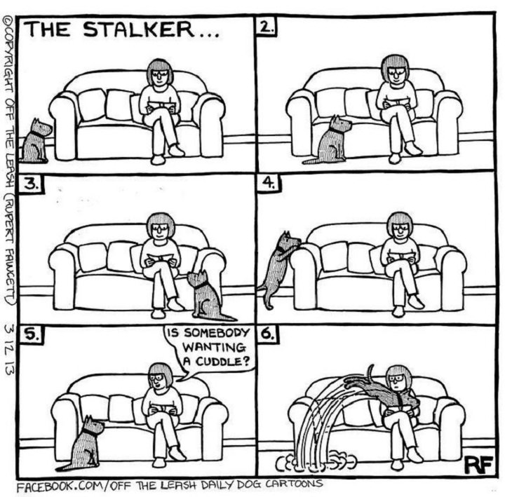 Dog Comics, stalker