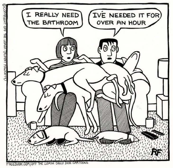 Dog Comics, sofa