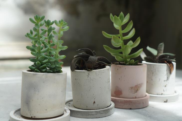 Pots For Your Houseplants Concrete pots