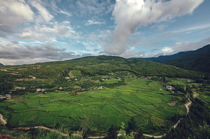 Beauty of Bhutan,  terraced rice fields