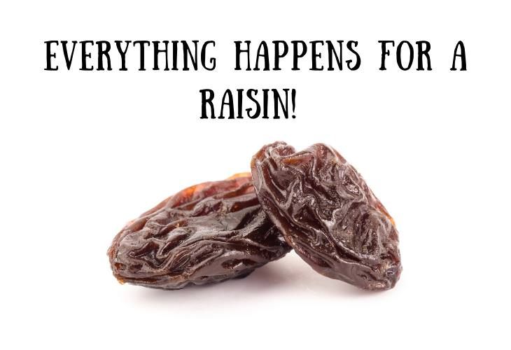 Food Puns and Jokes, raisin