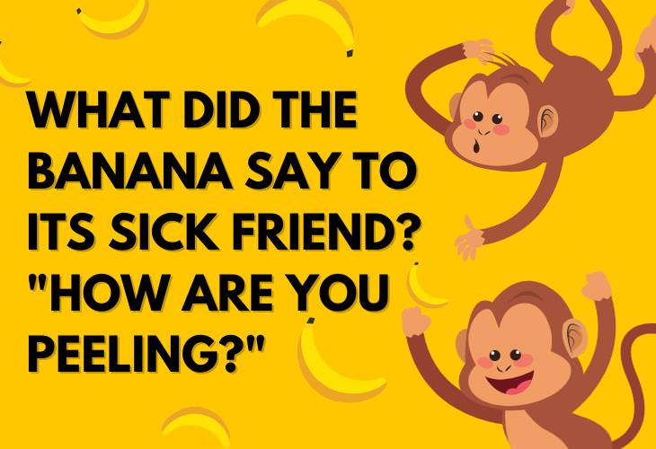 Food Puns and Jokes, bananas