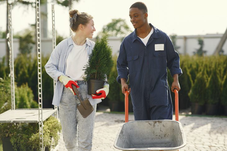 Lawn Care and Maintenance Tips woman choosing a tree at garden center with the assistance of garden worker