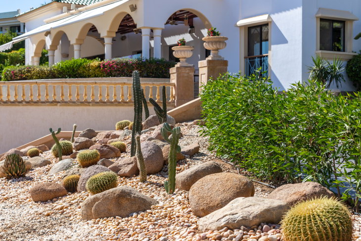 Lawn Care and Maintenance Tips pretty desert rock garden