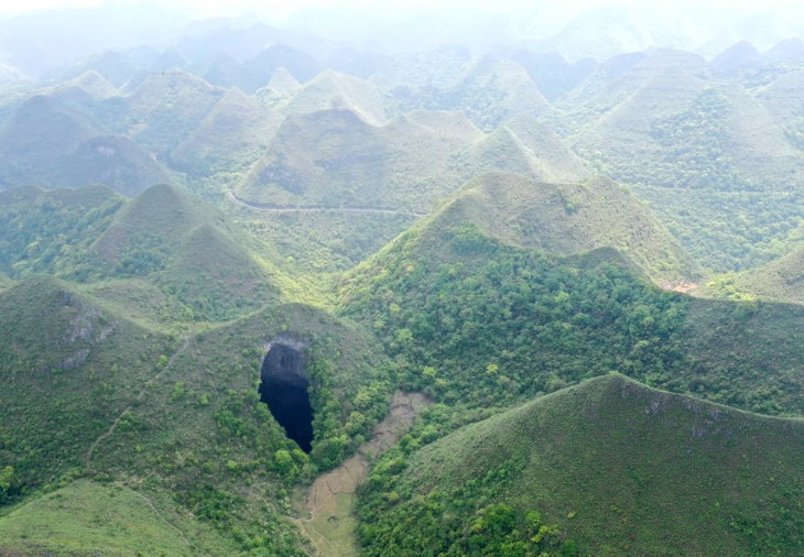 Forest in Sinkhole in China