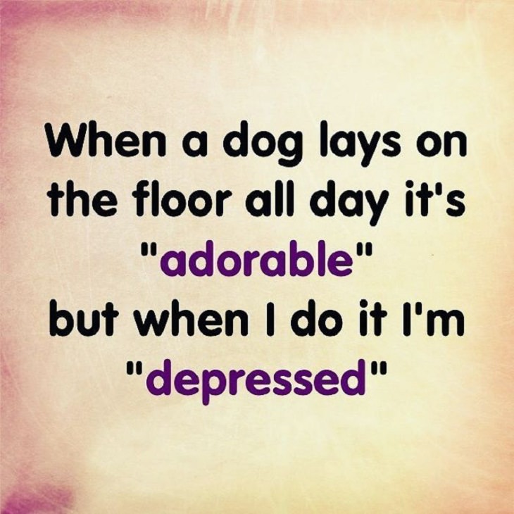 ‘Unispirational’ Quotes, dog