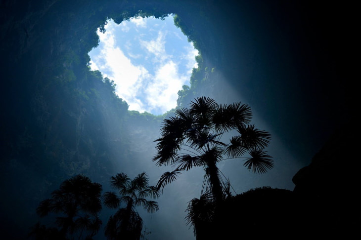 Forest in Sinkhole in China