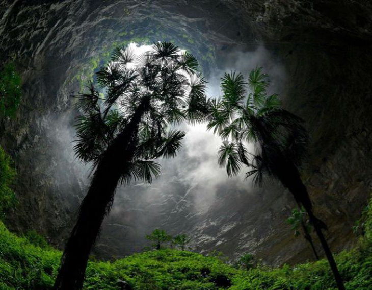 Forest in Sinkhole in China