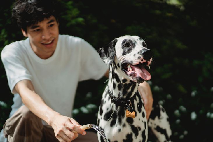 Heat Stress in Dogs man with a hose holding a Dalmatian