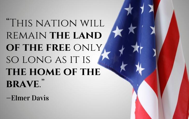 Patriotic Quotes —Elmer Davis