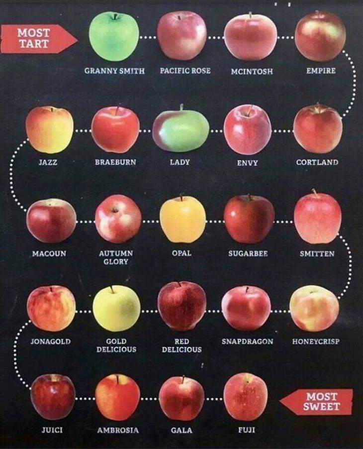 Food Charts apples