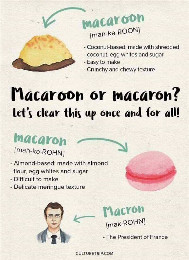 Food Charts macaroon macaron