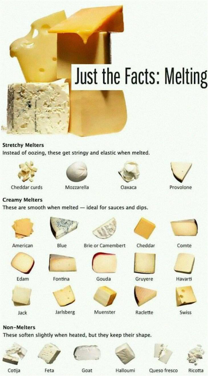 Food Charts cheese