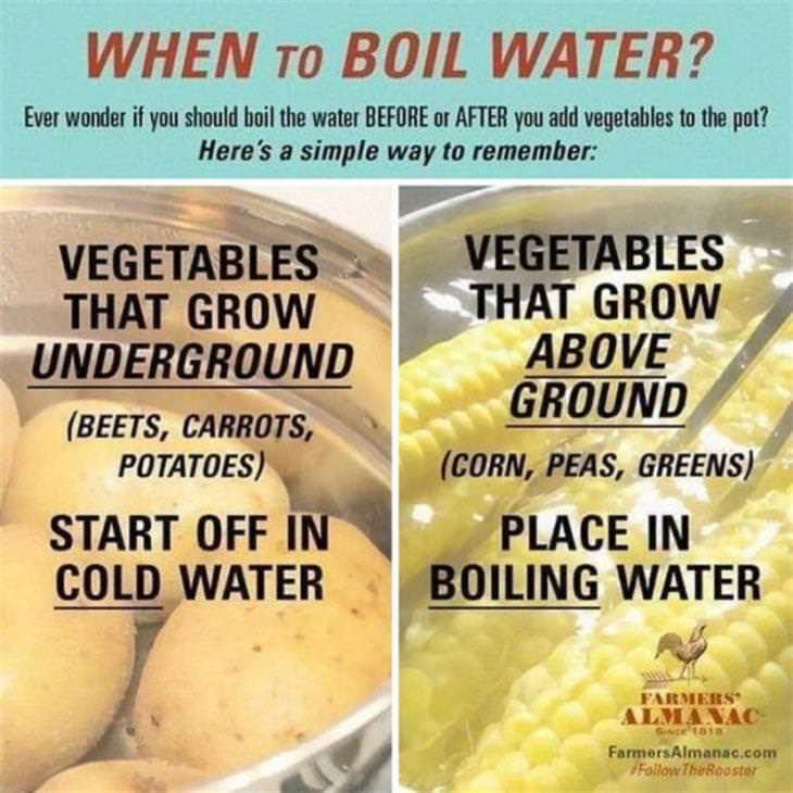 Food Charts boiling water