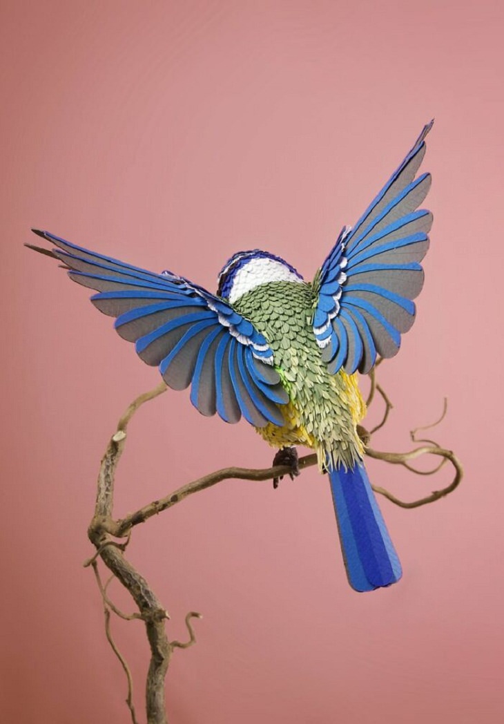Paper Art, bird