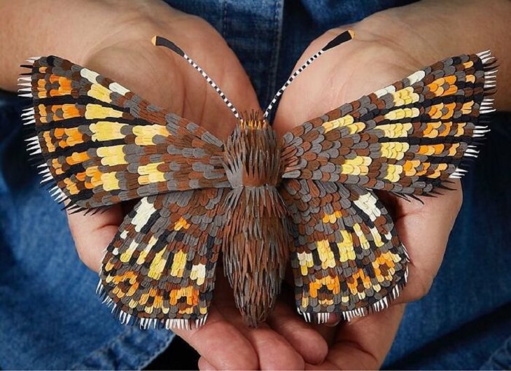 Paper Art, butterfly