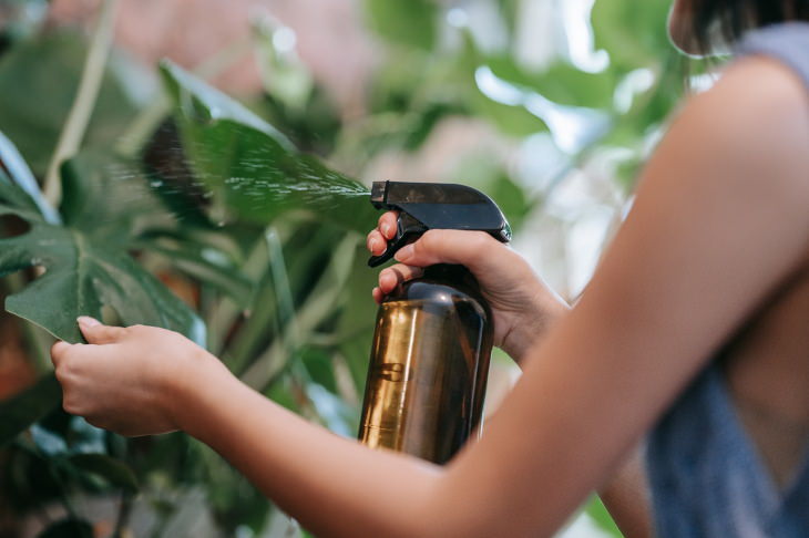 Spider Mites woman spraying plant