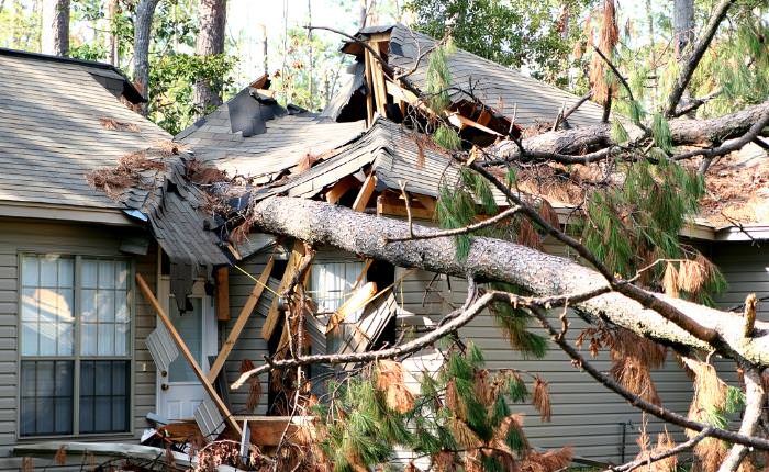 tree fallen on a home after a hurricane
