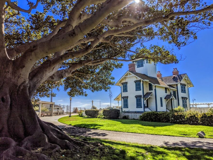 Rich Bojorquez-Davila photography of South Cali, tree and a house on a sunny day
