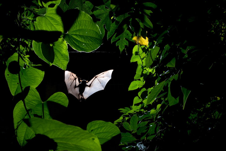 2022 BigPicture Contest Winners “Frame Within a Frame” by Sitaram May