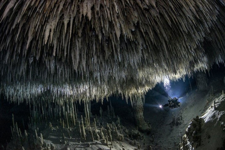 2022 BigPicture Contest Winners “Hidden Beauty” by Tom St George