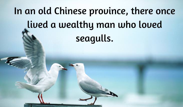 Chinese Fables, seagull
