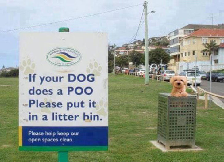 Funny Signs dog bin