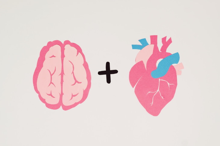 Stroke Myths brain heart