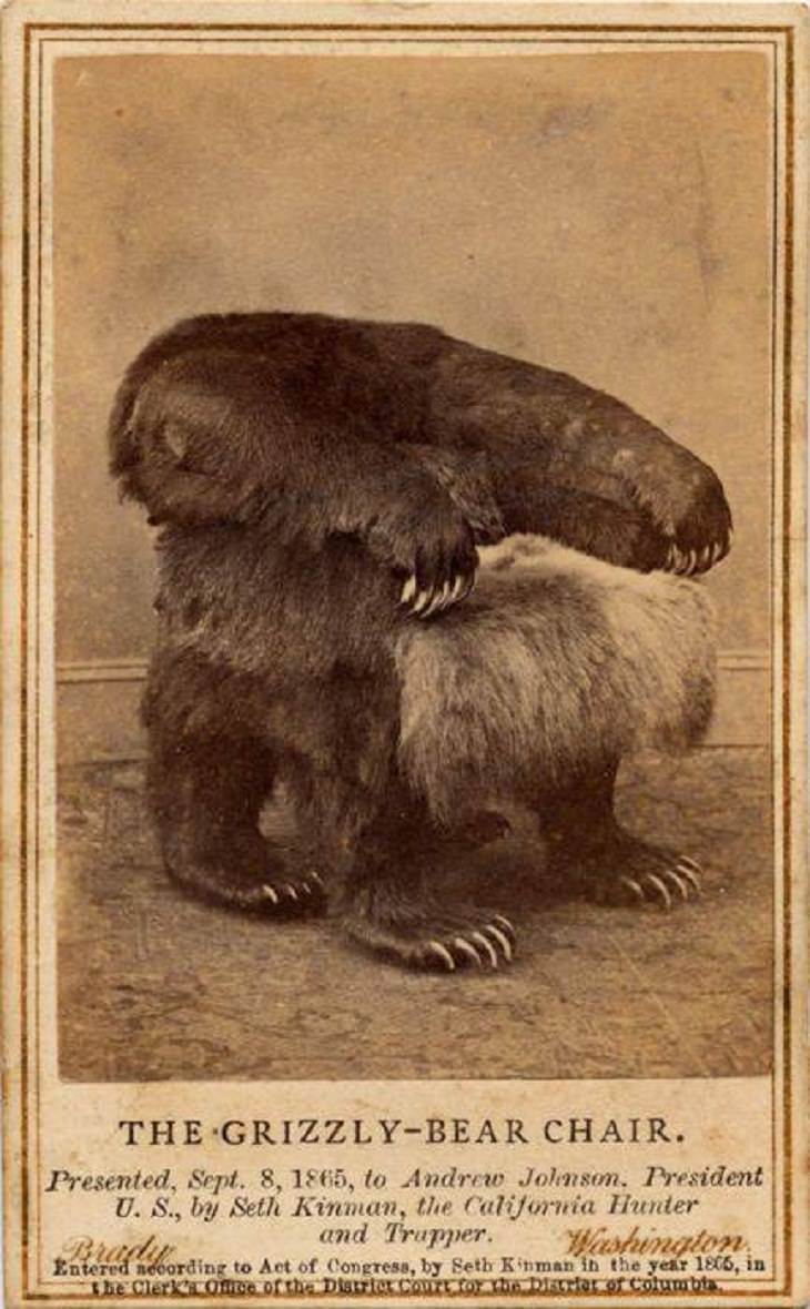 Rare Historical Photos, Grizzly Bear Chair