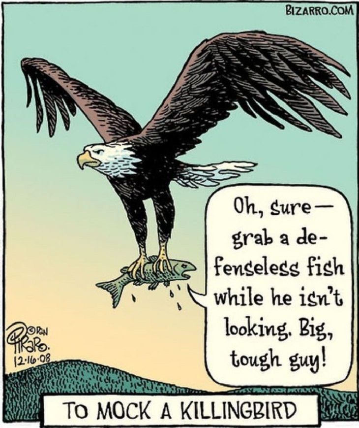 Single-Panel Comics, eagle, fish