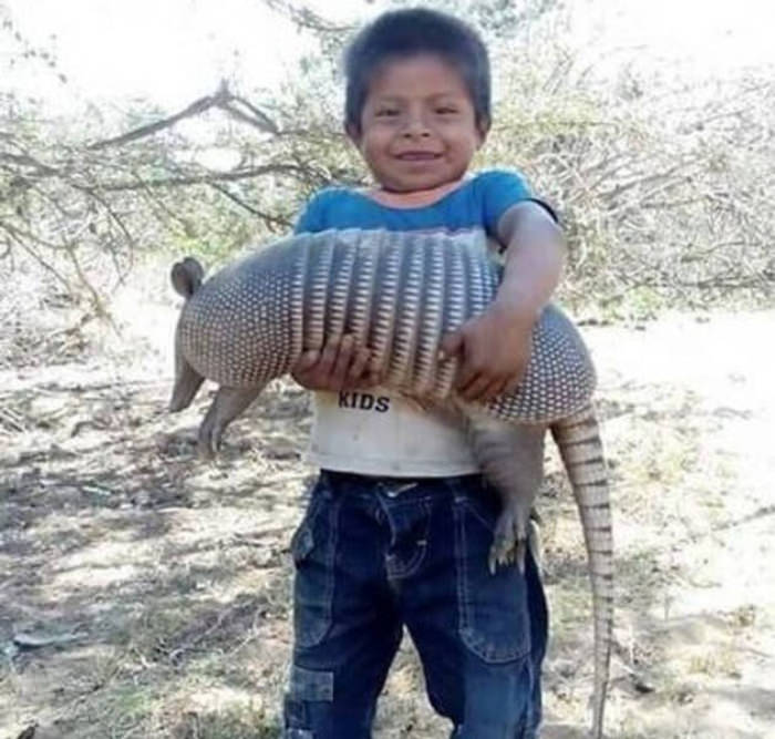 life is good-  boy and armadillo