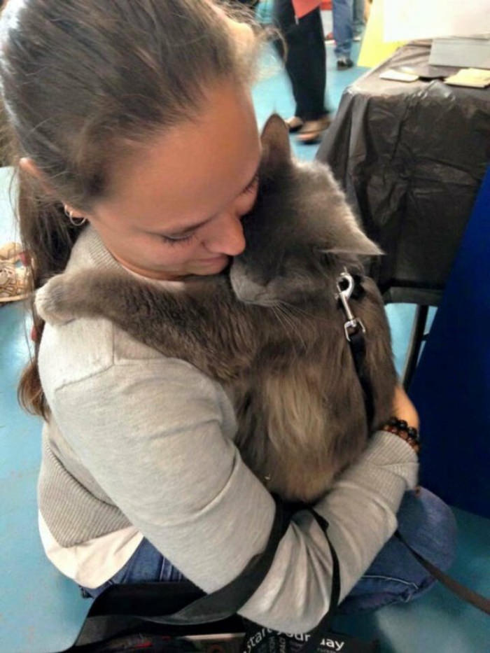 life is good- blind cat hugging