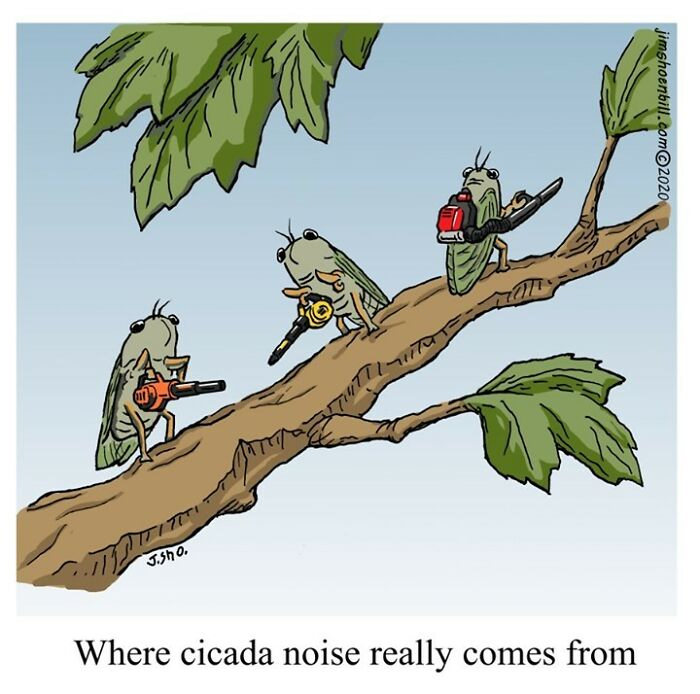 Jim Shoenbill one panel comics loud cicadas