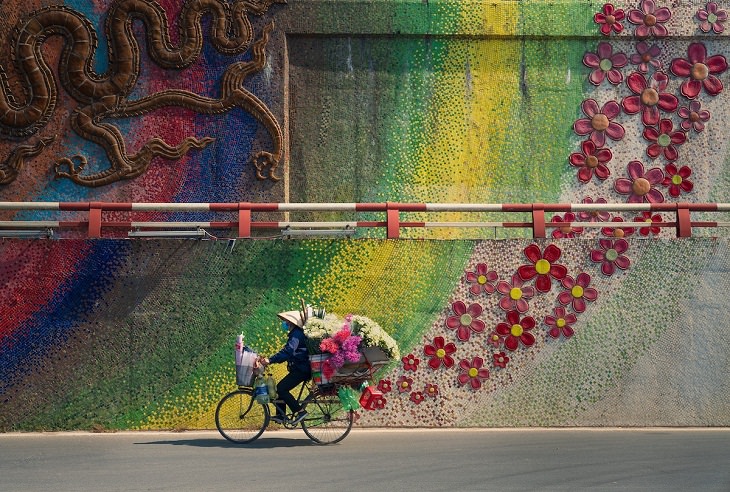 Sony World Photography Awards, Bicicleta con flores