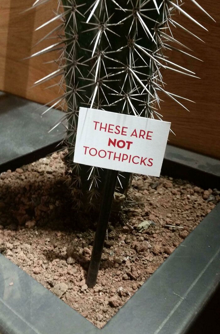 funny sign not toothpicks