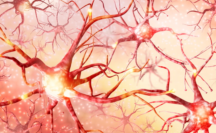 Alzheimer’s Disease and ADHD Medications nerve cells