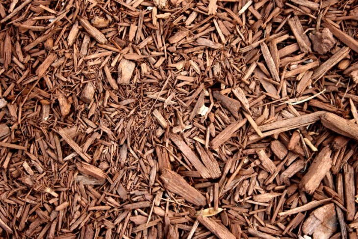 Plant Fertilizers Mulch