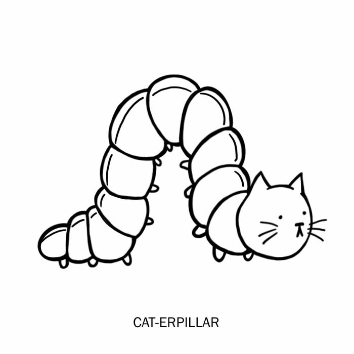 visual puns by Nadia Tolstoy cat caterpillar 