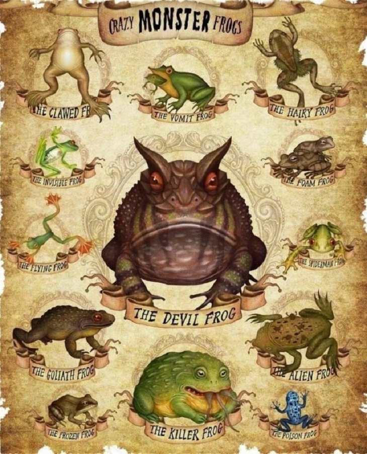 Charts & Maps, frogs