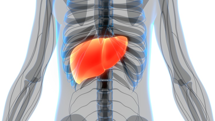 Pediatric Liver Cancer liver