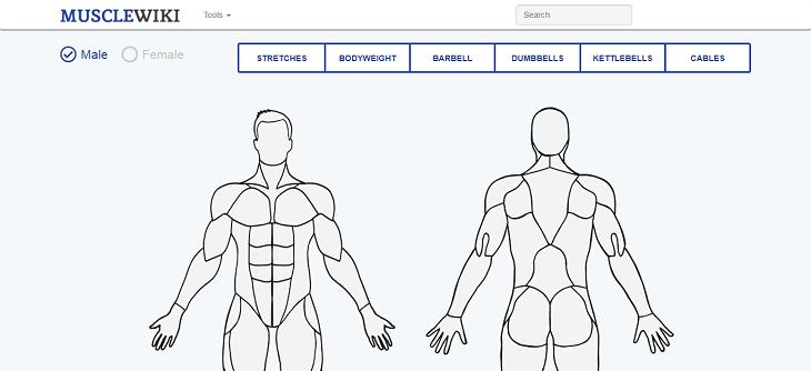 Useful Sites, Muscle Wiki