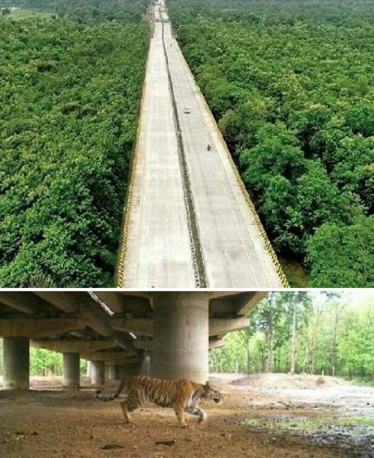Stunning Bridges & Roads 10-mile elevated stretch of the Seoni-Nagpur highway 